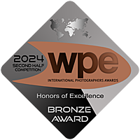 Brons Badge wpe awards