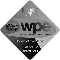 Silver Badge wpe awards